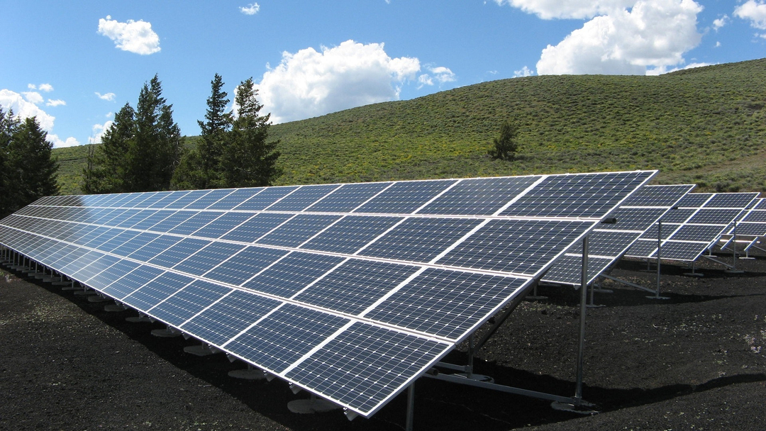 Solar farm green