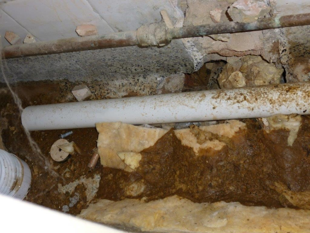 Human waste disposal