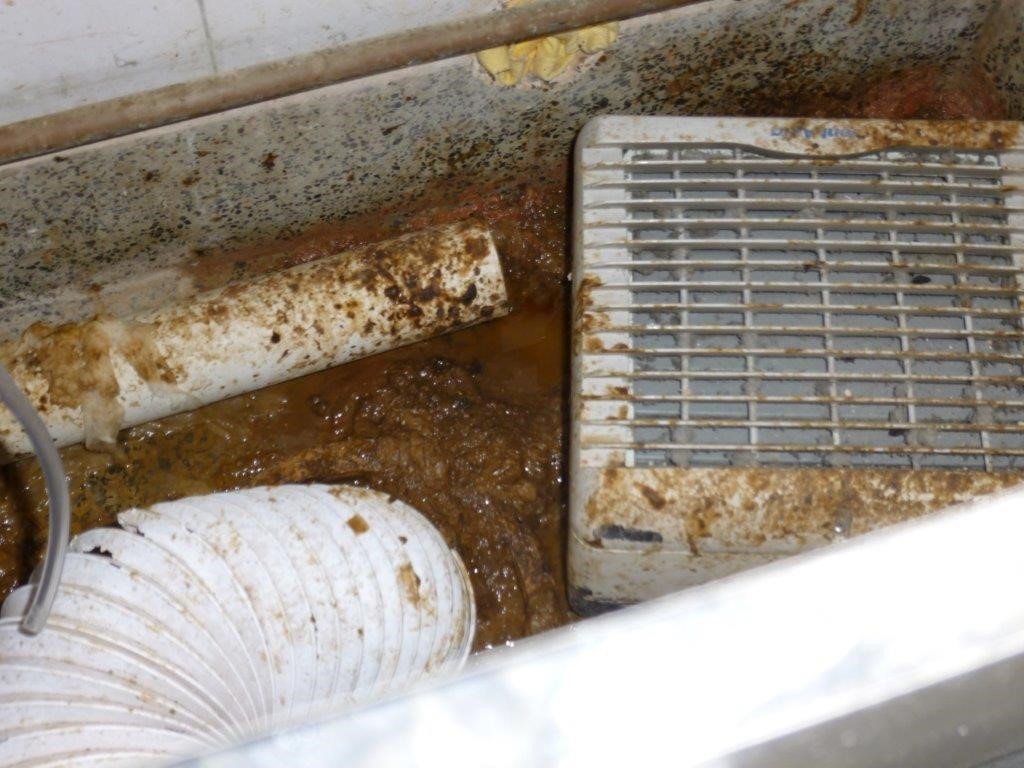 Human waste removal