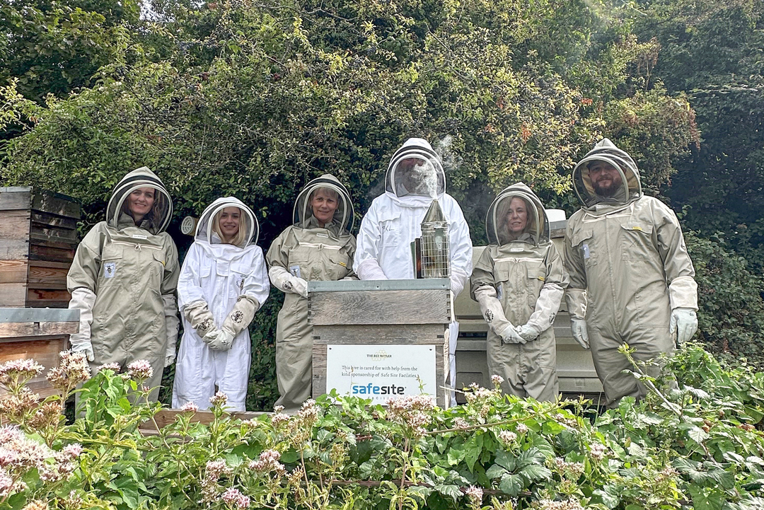 beehive safesite staff