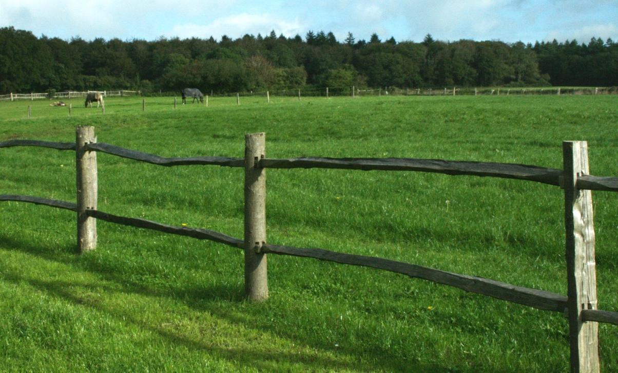 Timber post and rail fence