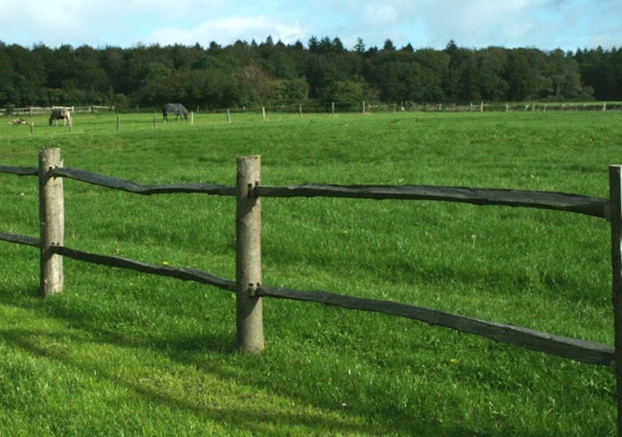 Timber post and rail fence