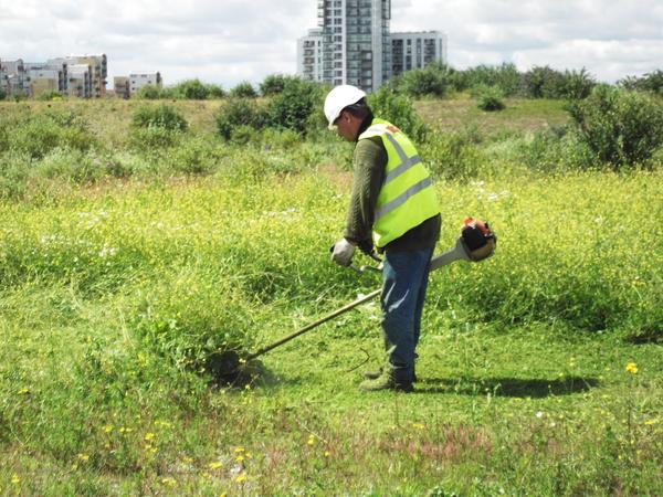 Common Land in England and Wales