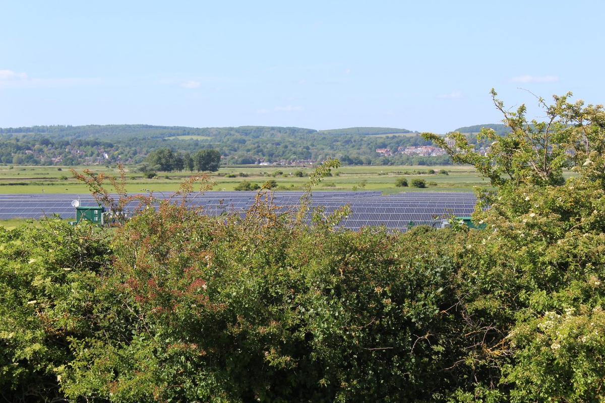 rows with solar panels