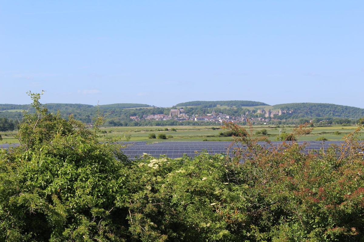 solar farm view with greenery