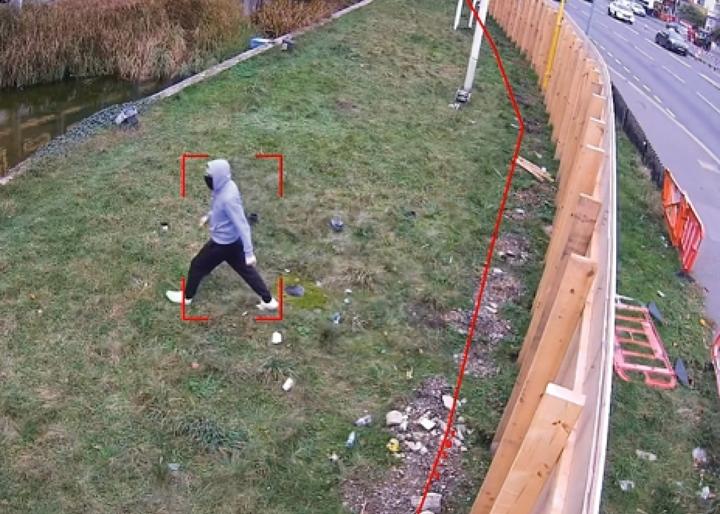 virtual detection intrusion