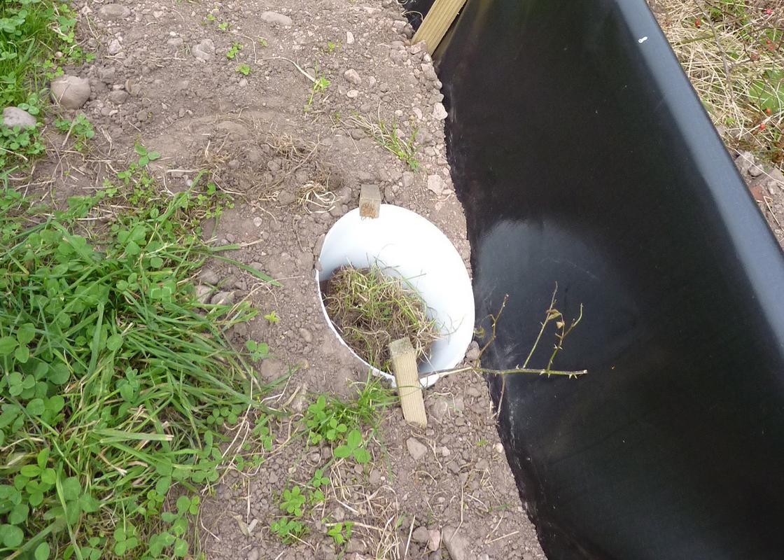 Newt Pitfall Trap - Setup