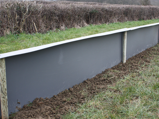 Permanent Newt Panel