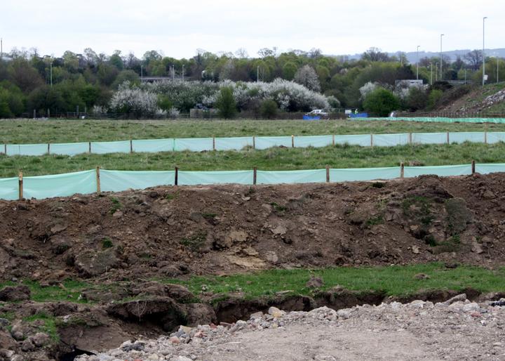temporary newt fencing