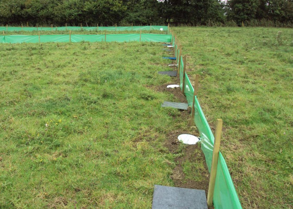 green temporary newt fencing installed on land with pitfall traps and refuge tiles