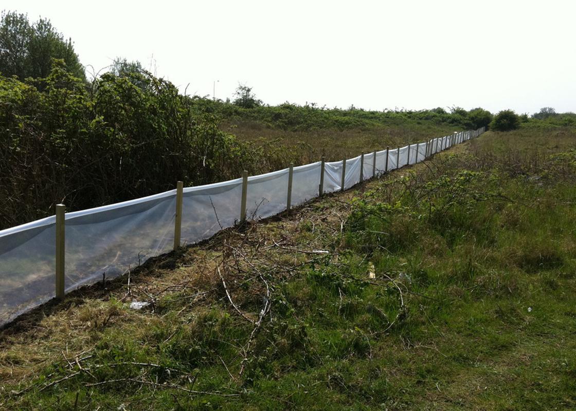 clear temporary newt fencing installed on land