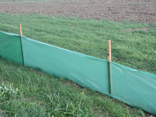 Standard Temporary Newt Fence