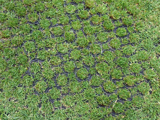 Rubber Grass Mat – 1500 x 1000mm