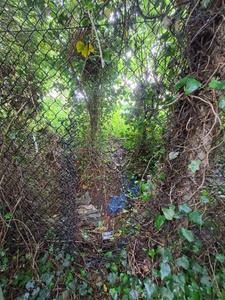 Gaping Holes Fencing