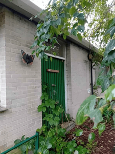 vacant property before steel sheeting installed