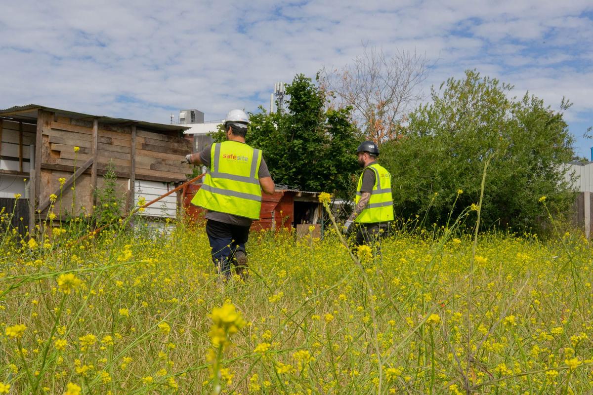 SafeSite oeratives on a field with overgrown vegetation