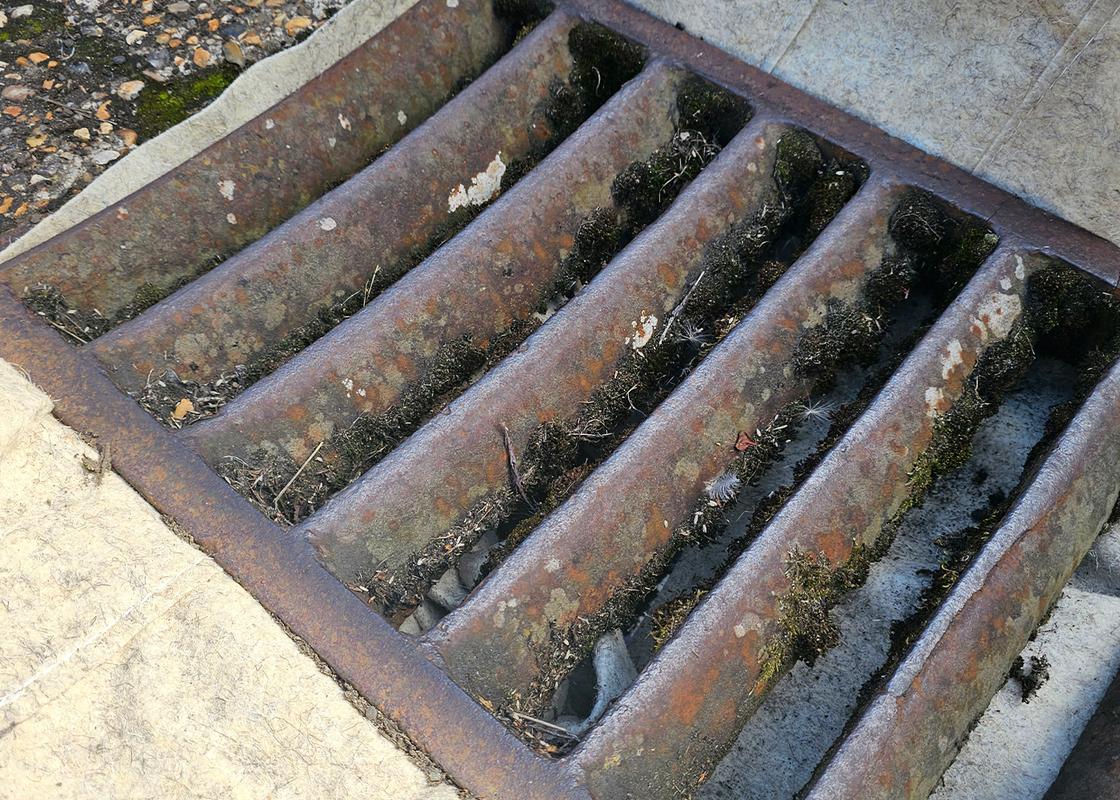 biodegradable drain guard installed