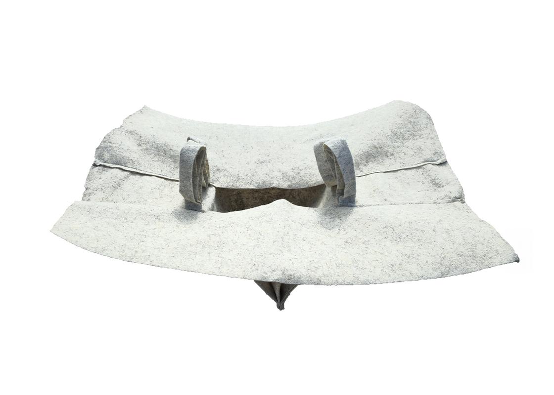 biodegradable drain guard