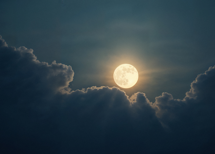 security guard services overnight security